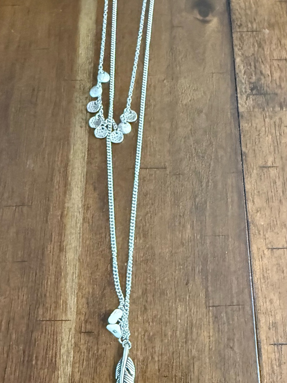 paparazzi Silver Layered Charm & Feather Necklace